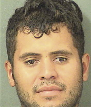 Daniel Gonzalez, - Palm Beach County, FL 